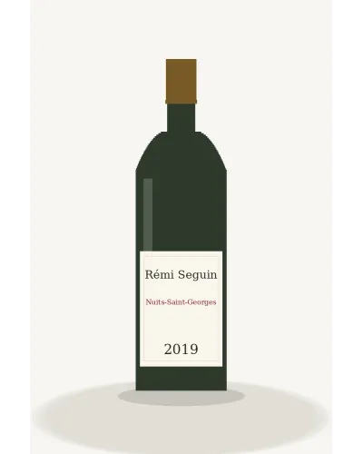 Rémi Seguin Nuits-Saint-Georges 2019